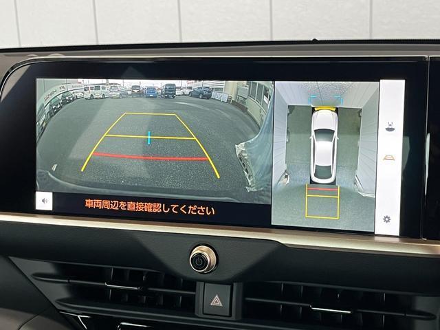 18040863_carP_l_19.jpg