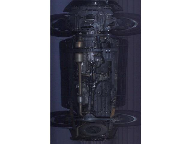 21928554_carP_l_14.jpg