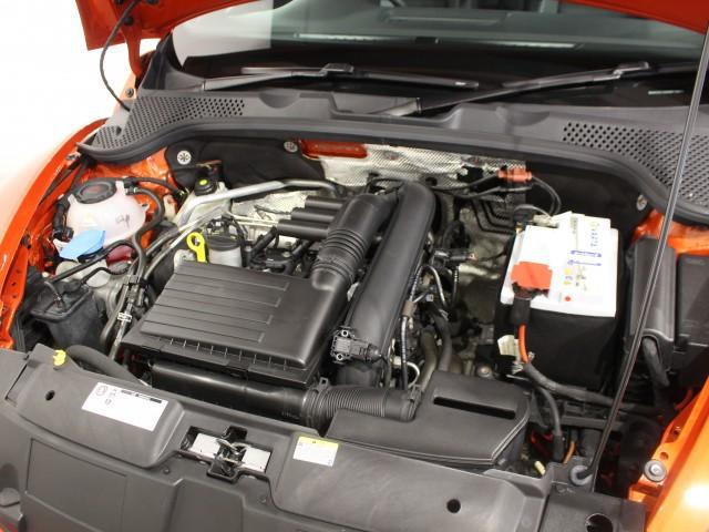 21364151_carP_l_16.jpg