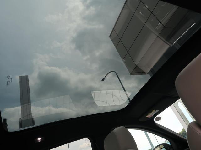 23207326_carP_l_4.jpg