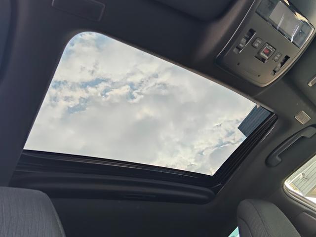 0201999A30260207W00613.jpg
