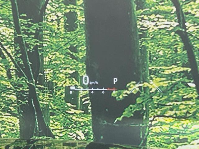 22467894_carP_l_13.jpg