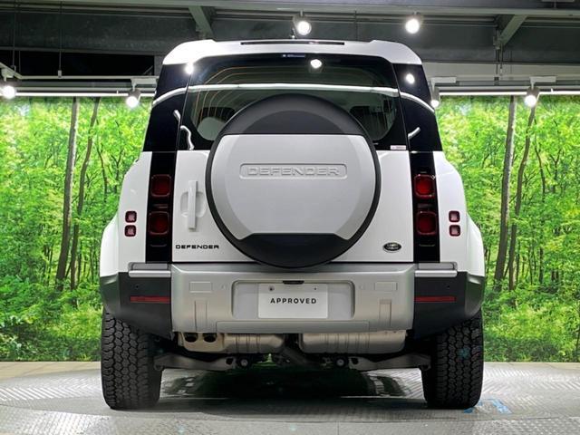 21325532_carP_l_20.jpg