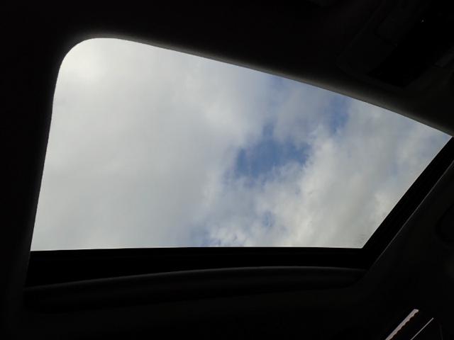 93d3d43705384e9109ec14a37a645763.jpeg