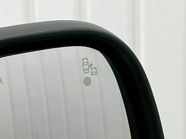 22869675_carP_l_14.jpg