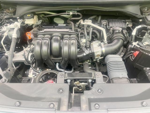 19429716_carP_l_16.jpg