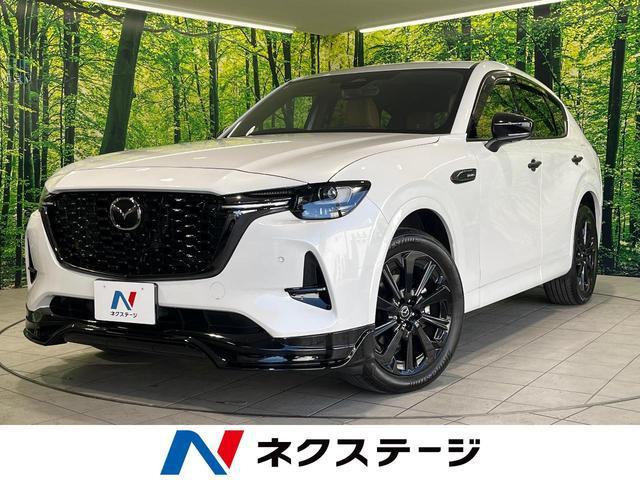 22315918_carP_l_1.jpg