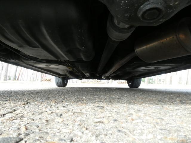 21361050_carP_l_5.jpg