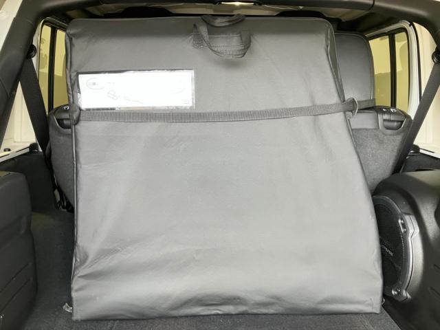 22262207_carP_l_17.jpg