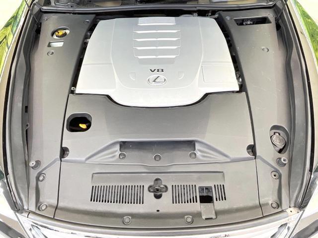 22205387_carP_l_16.jpg