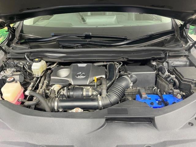 21149913_carP_l_18.jpg