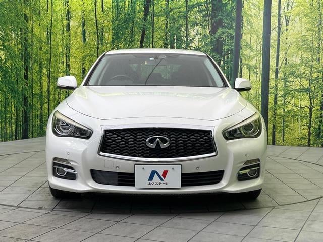 20764946_carP_l_8.jpg