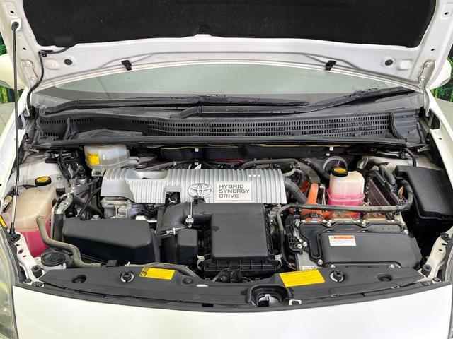 22680757_carP_l_16.jpg