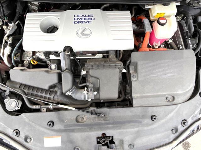 22058455_carP_l_16.jpg