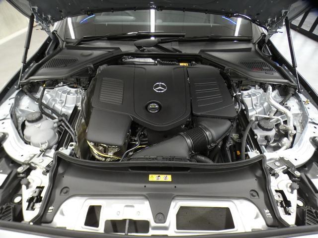 22467010_carP_l_18.jpg