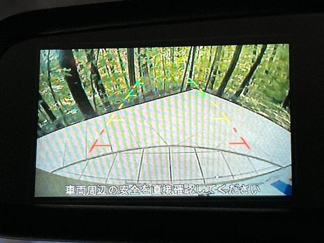 22449213_carP_l_4.jpg