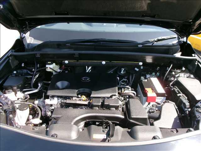 22617055_carP_l_18.jpg