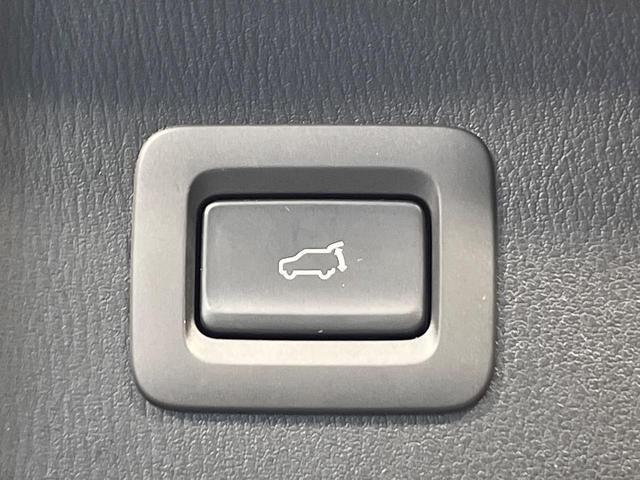 23168589_carP_l_10.jpg