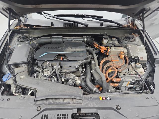 lotterental_162249700_mq2O7_1.jpg