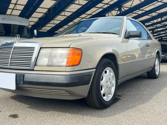 8c026b2bbb51e0d4ab798a06e6de6f68.jpeg