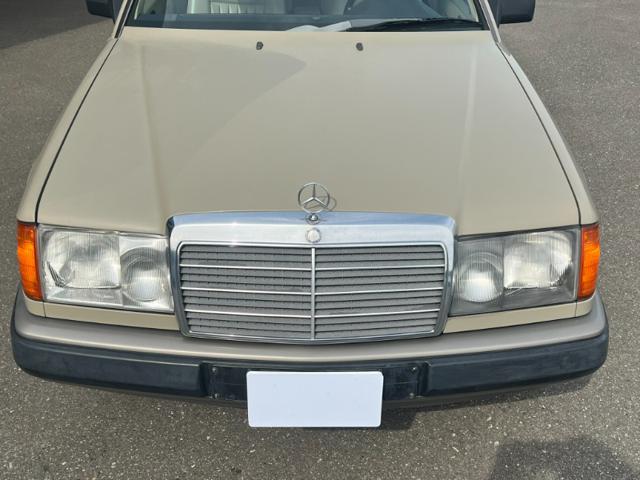 b9b3db1fcbc4216d62533f35c3f43b81.jpeg