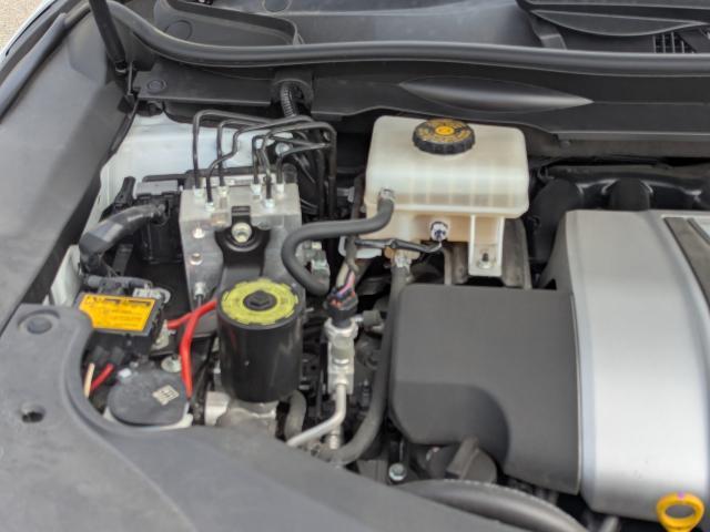 19914438_carP_l_17.jpg