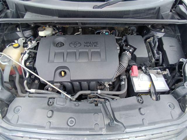 08.jpg