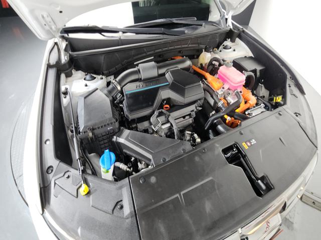 16be6f727e747ab0e66dccf9527d086e.jpeg