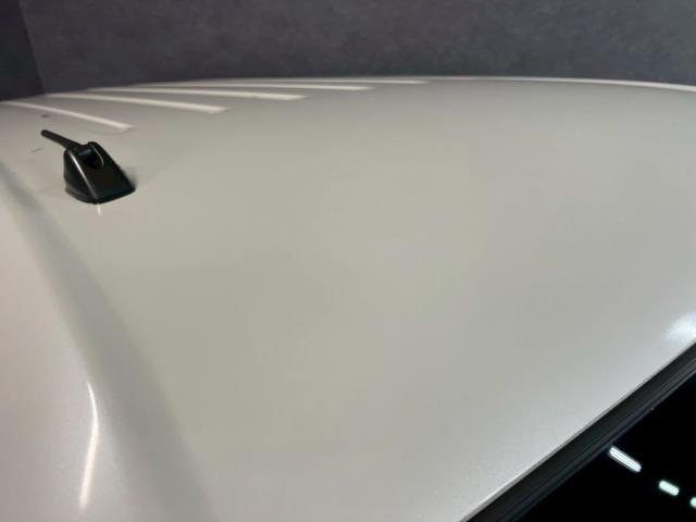 0710163A30260125W00217.jpg