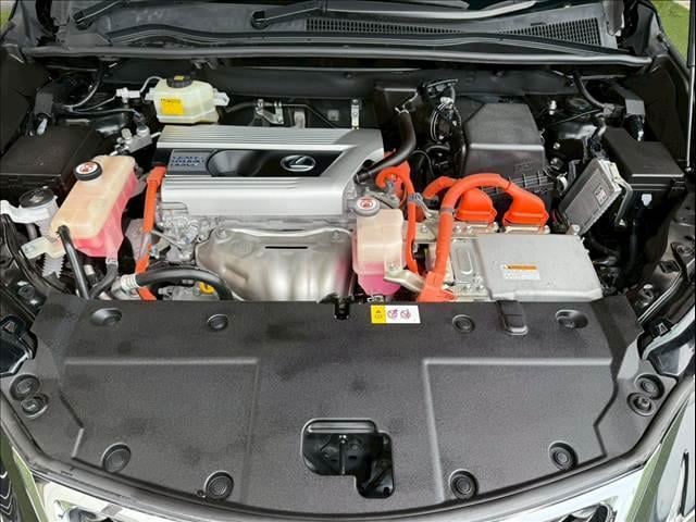20136026_carP_l_16.jpg