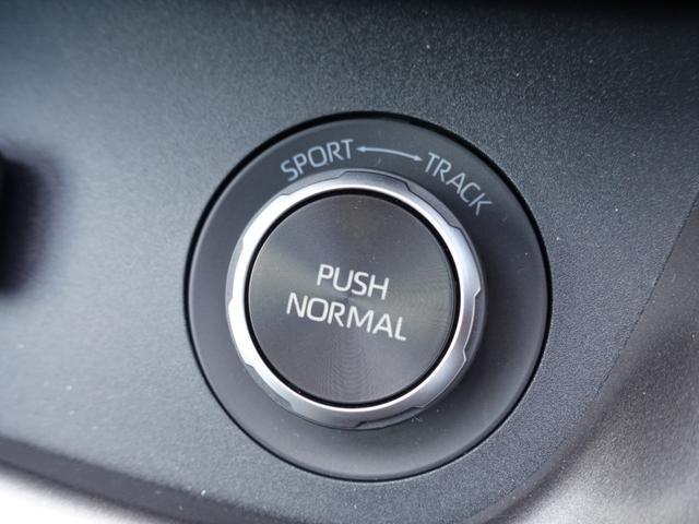 0509673A30260310W00405.jpg