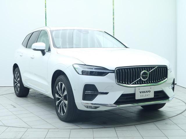 20347418_carP_l_18.jpg