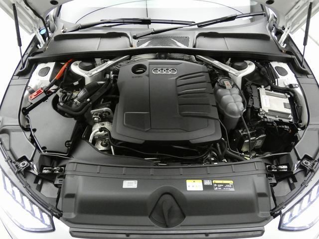 21342921_carP_l_6.jpg