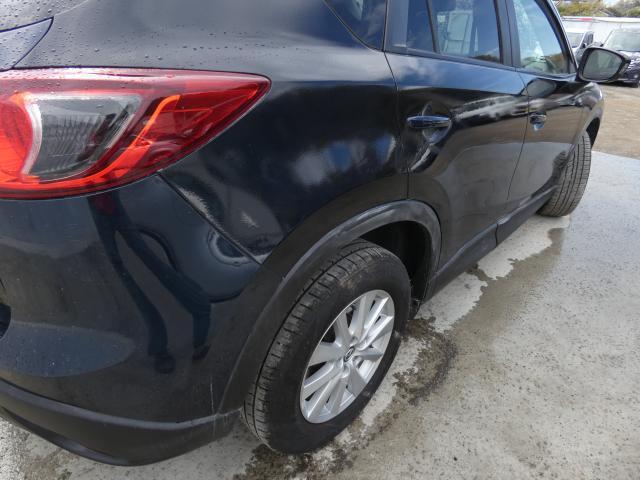 17472972_carP_l_16.jpg