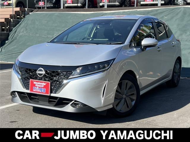 21872172_carP_l_1.jpg