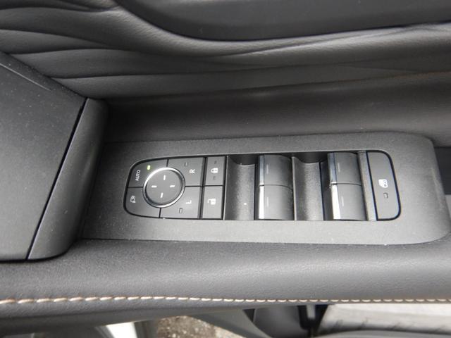 0500113A30260224W00117.jpg