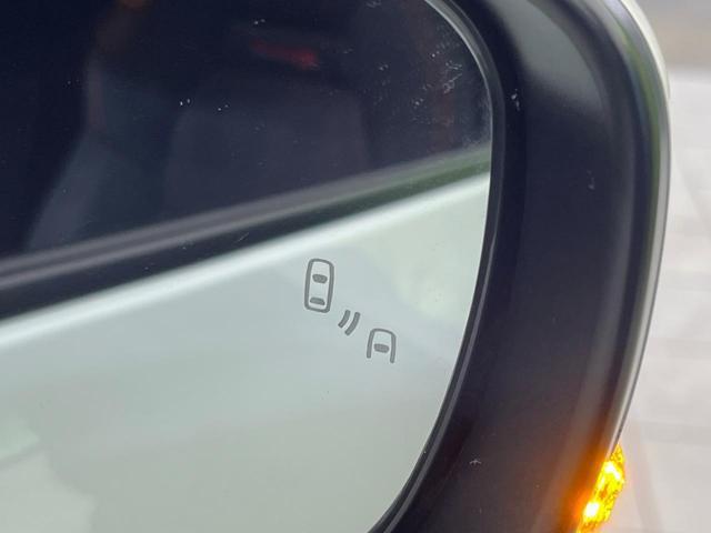 21009533_carP_l_13.jpg