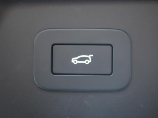 22372855_carP_l_12.jpg