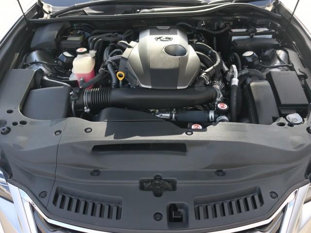 22435173_carP_l_17.jpg