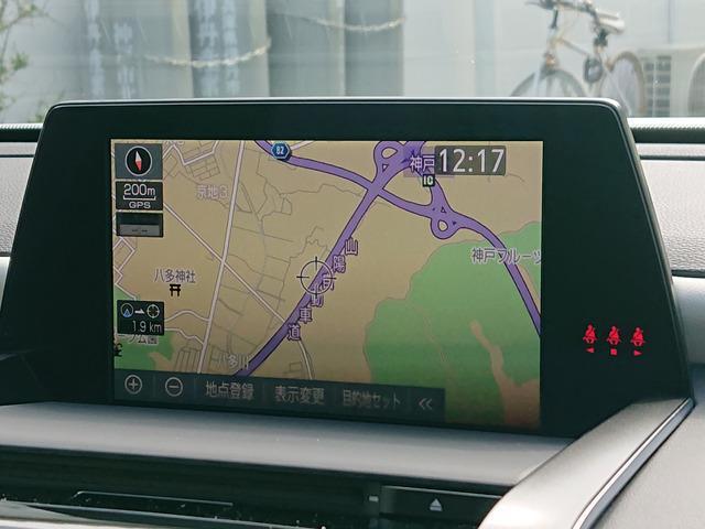 20079217_carP_l_14.jpg