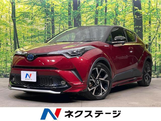 22544175_carP_l_1.jpg