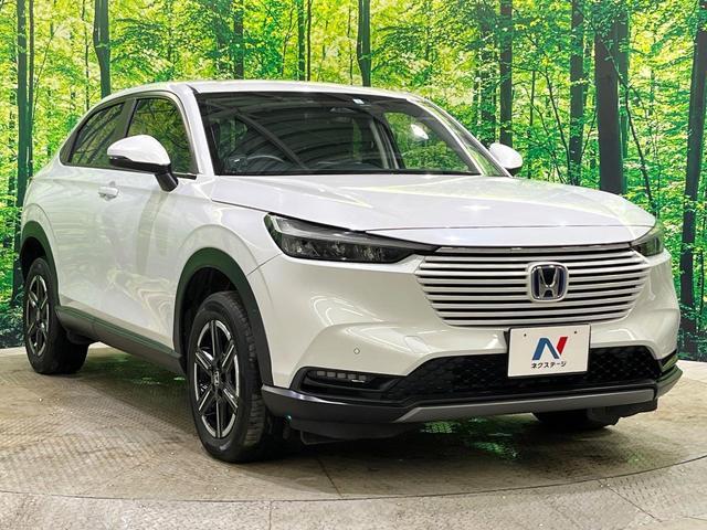 22819071_carP_l_12.jpg