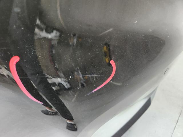 lotterental_16204361_lNB5v_1.jpg