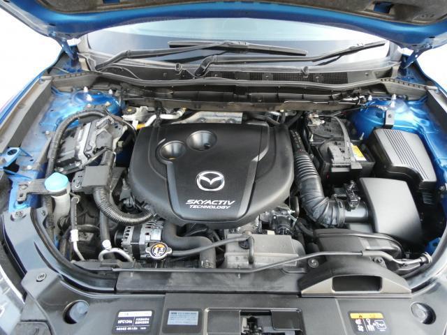 20820575_carP_l_20.jpg