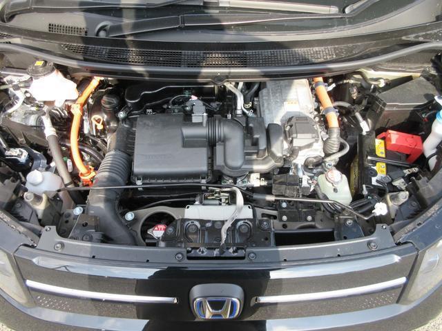 21027771_carP_l_12.jpg