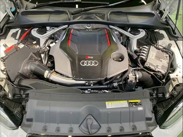 22274801_carP_l_6.jpg