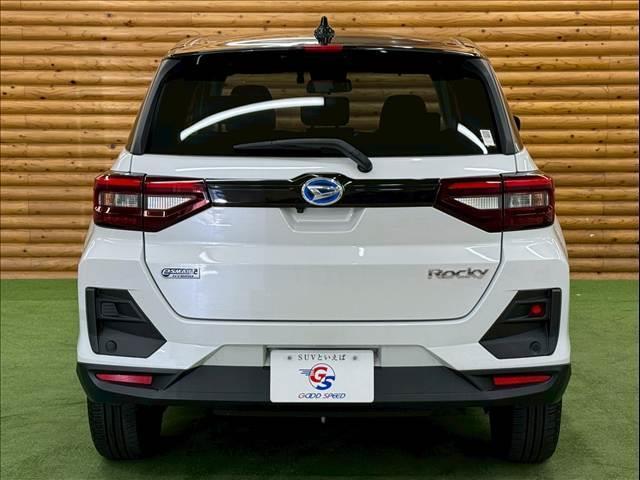 22347824_carP_l_8.jpg