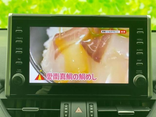18290230_carP_l_5.jpg