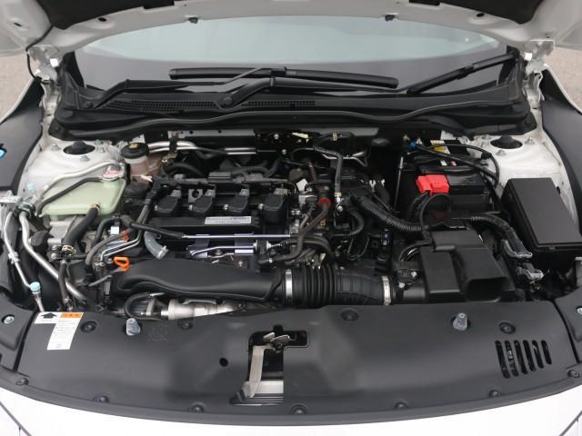 23117223_carP_l_17.jpg