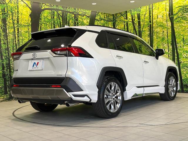 21654733_carP_l_12.jpg